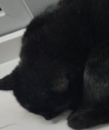 Проститутка Mих с 8 размером груди исполнит куннилингус и примет у себя в Любой район