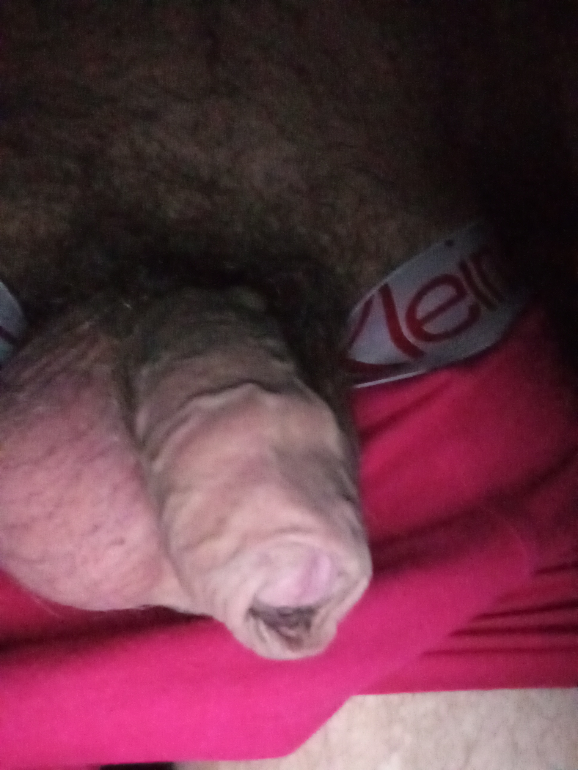 Профессионалка Jonny с 1 размером груди исполнит классический секс и примет у себя